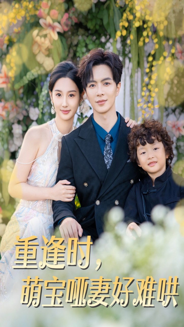 重逢时，萌宝哑妻好难哄