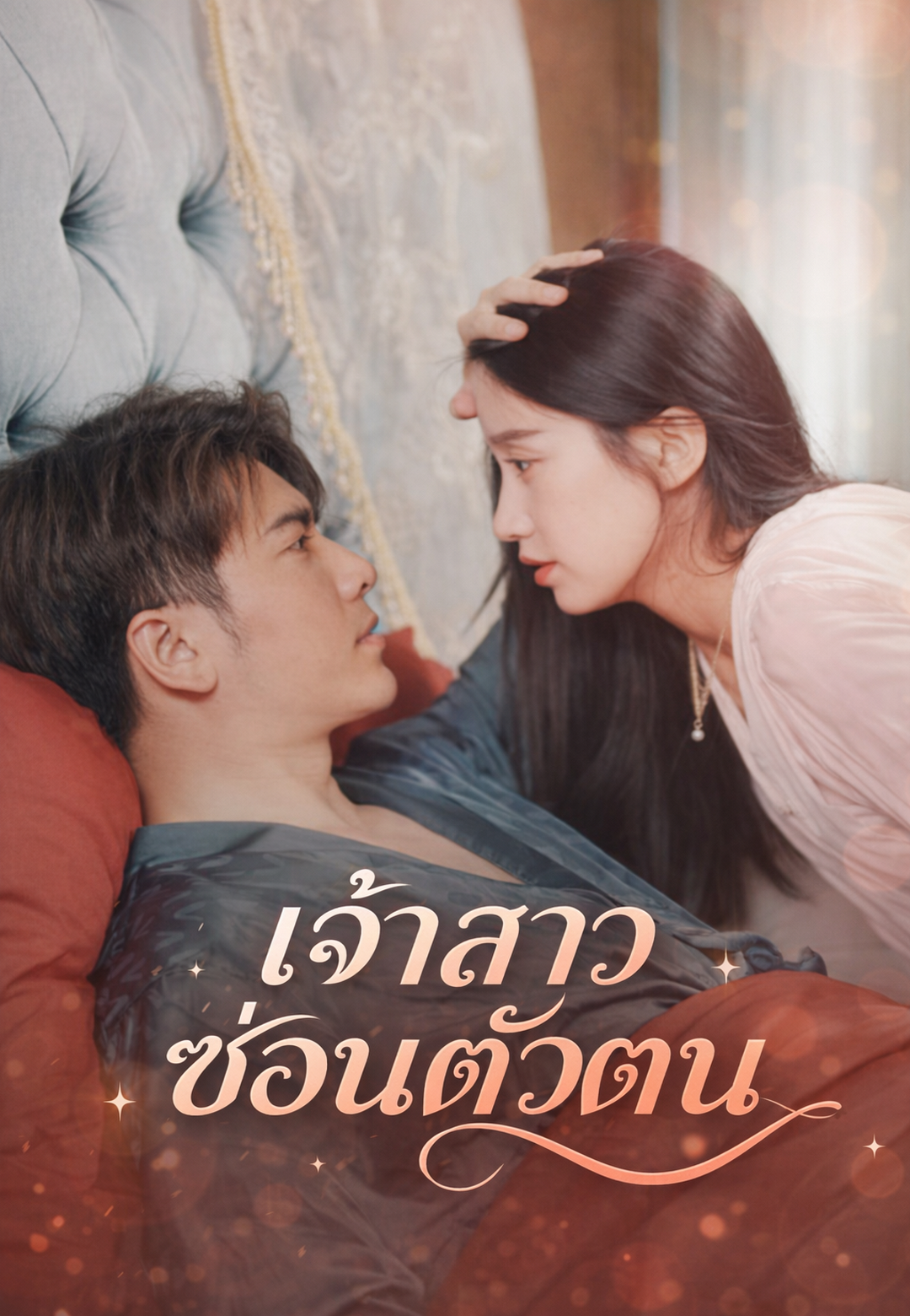 เจ้าสาวซ่อนตัวตน cover