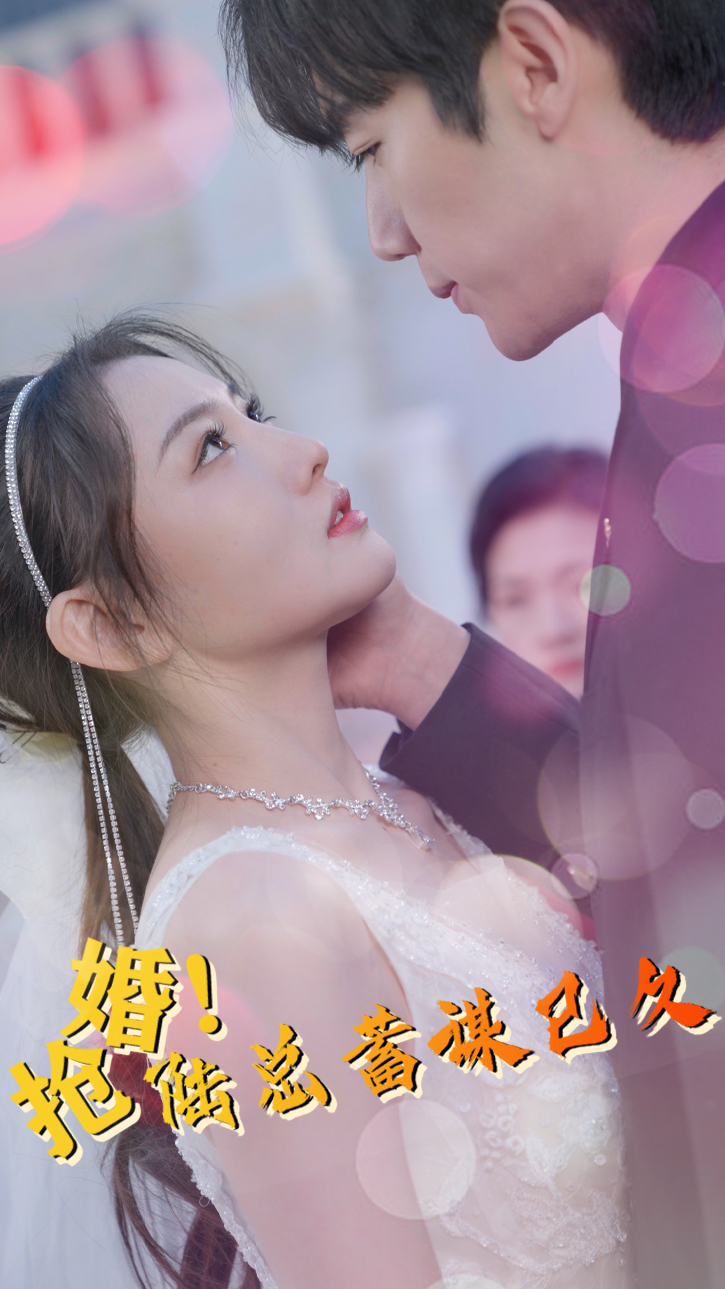 抢婚！陆总蓄谋已久