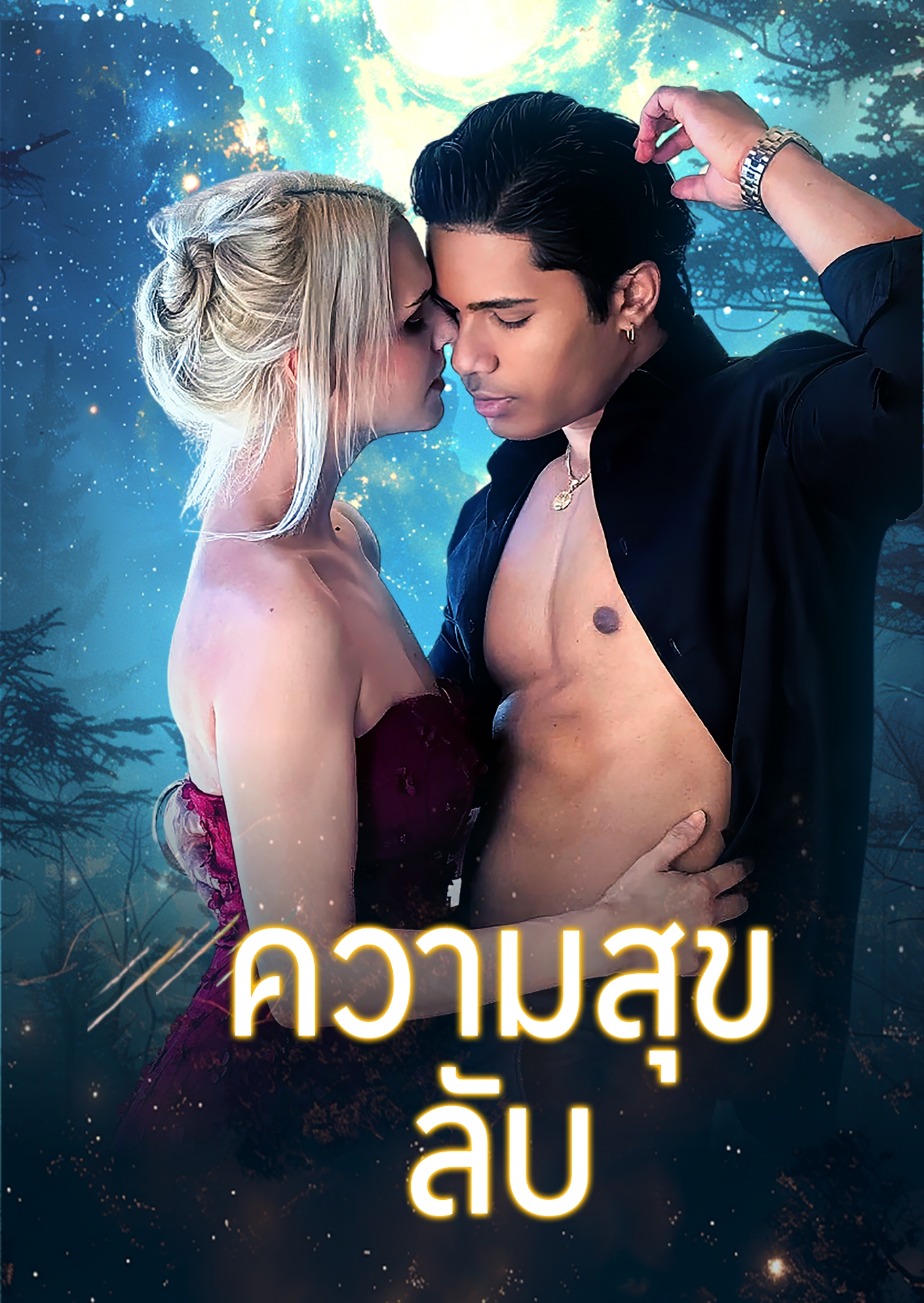 ความสุขลับ cover
