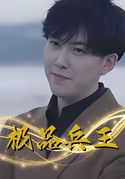极品兵王