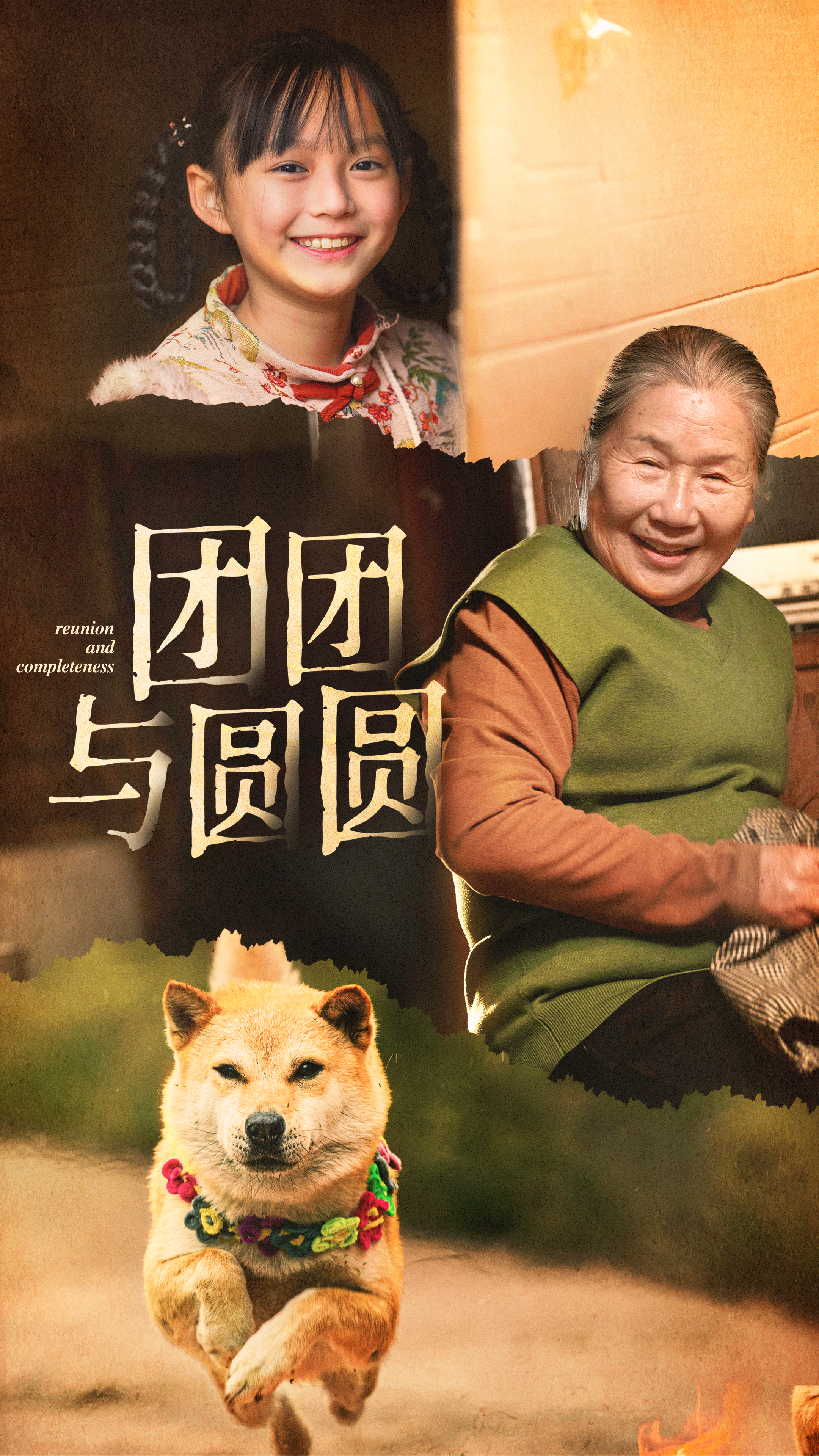 团团与圆圆