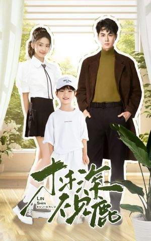 林深不见鹿