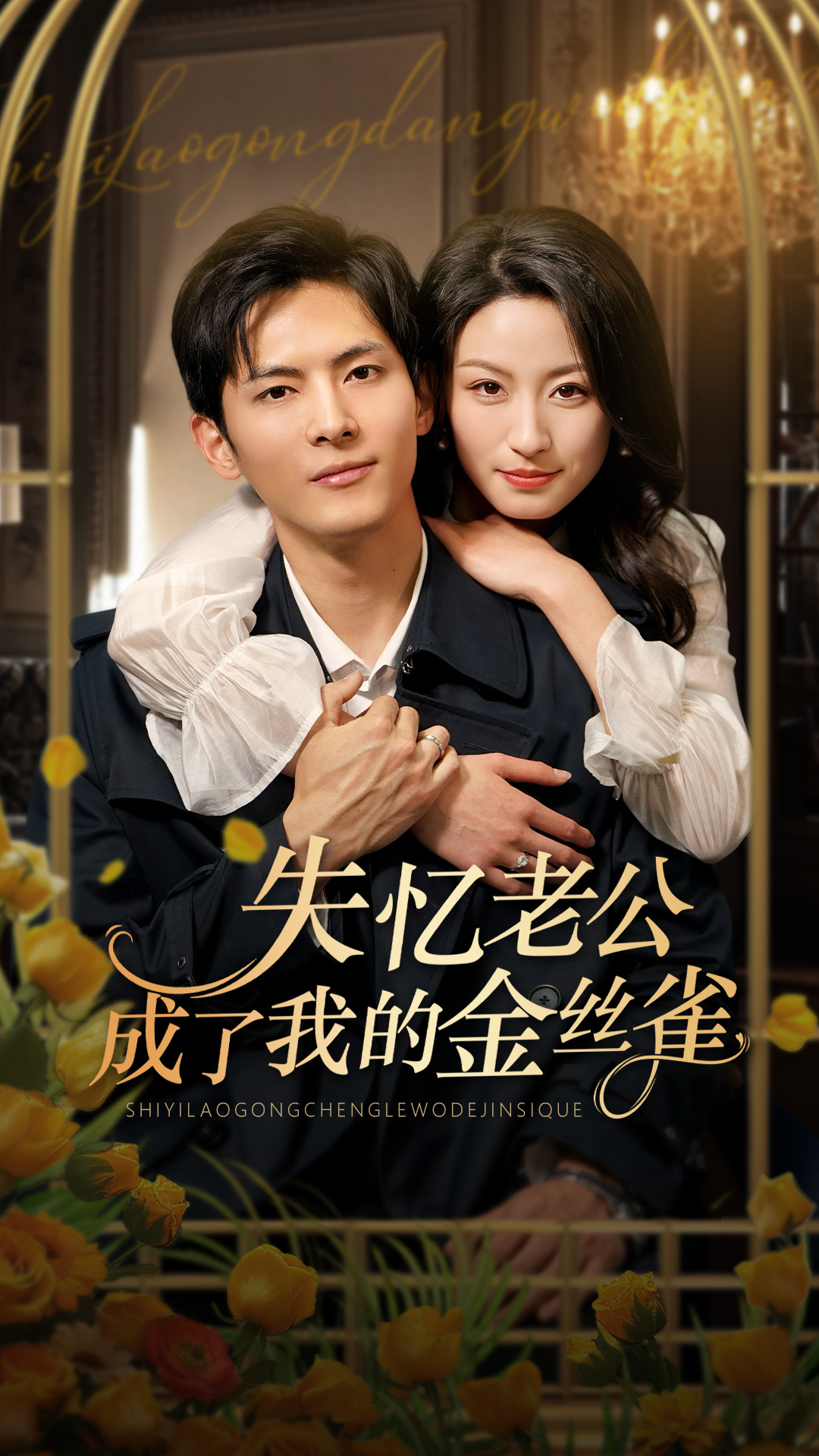 失忆老公成了我的金丝雀