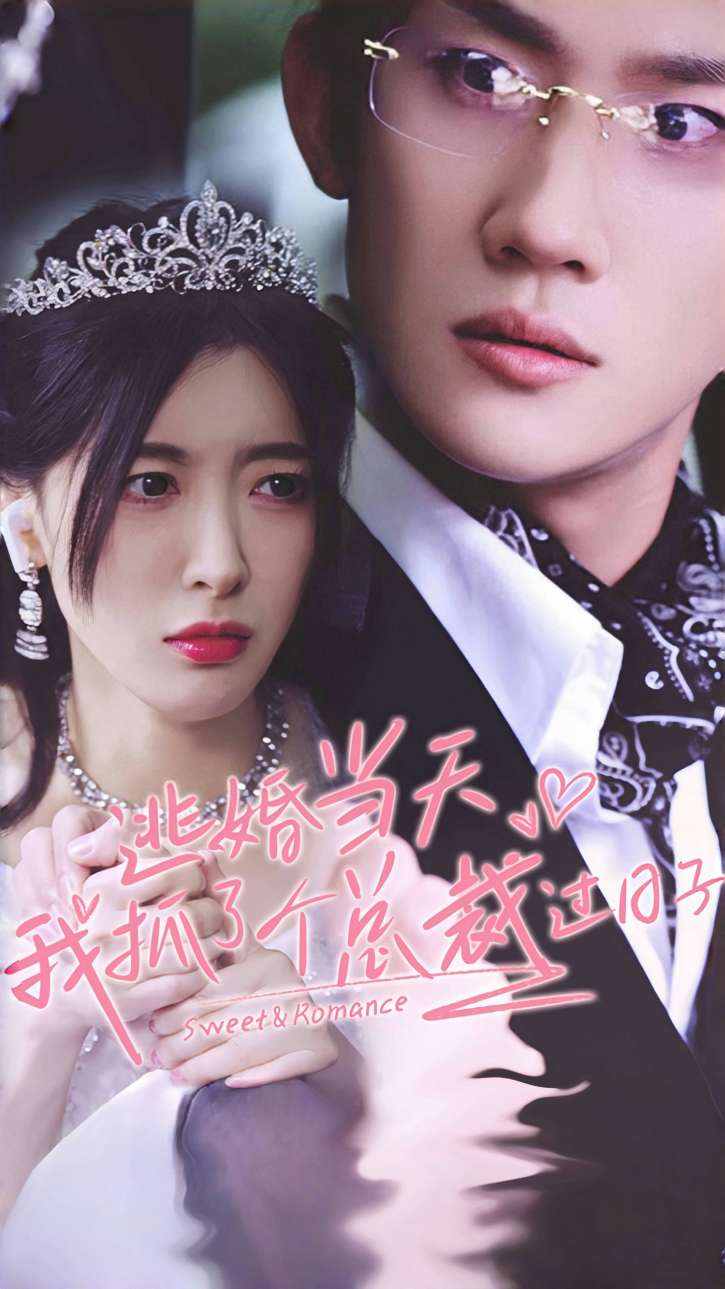 逃婚当天我抓了个总裁过日子