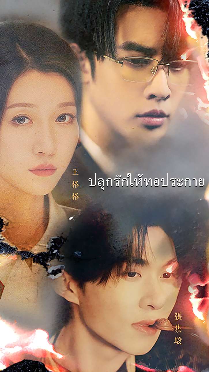 ปลุกรักให้ทอประกาย cover