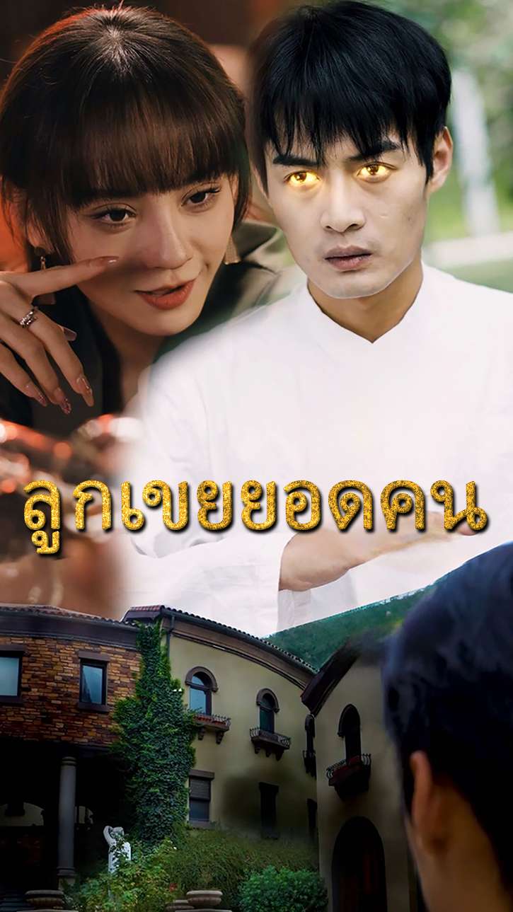 ลูกเขยยอดคน cover