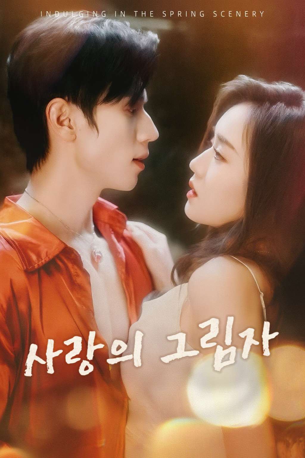 사랑의 그림자 cover