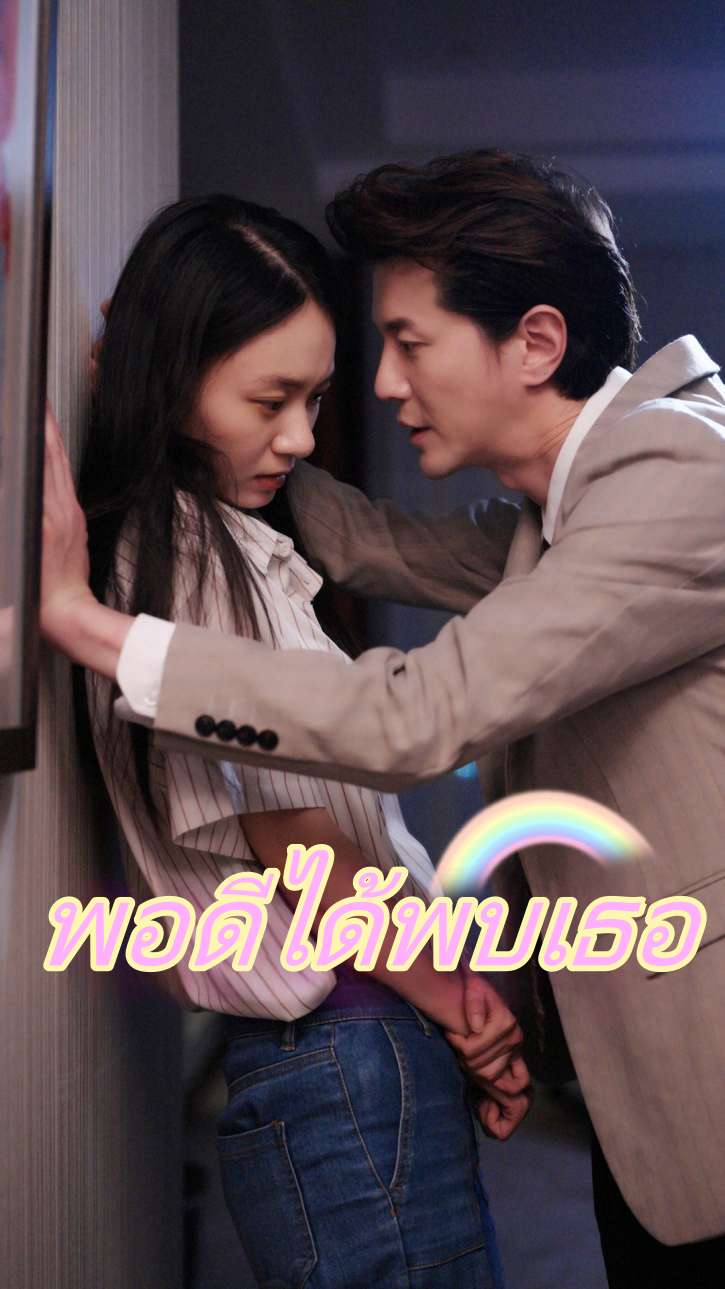 พอดีได้พบเธอ cover