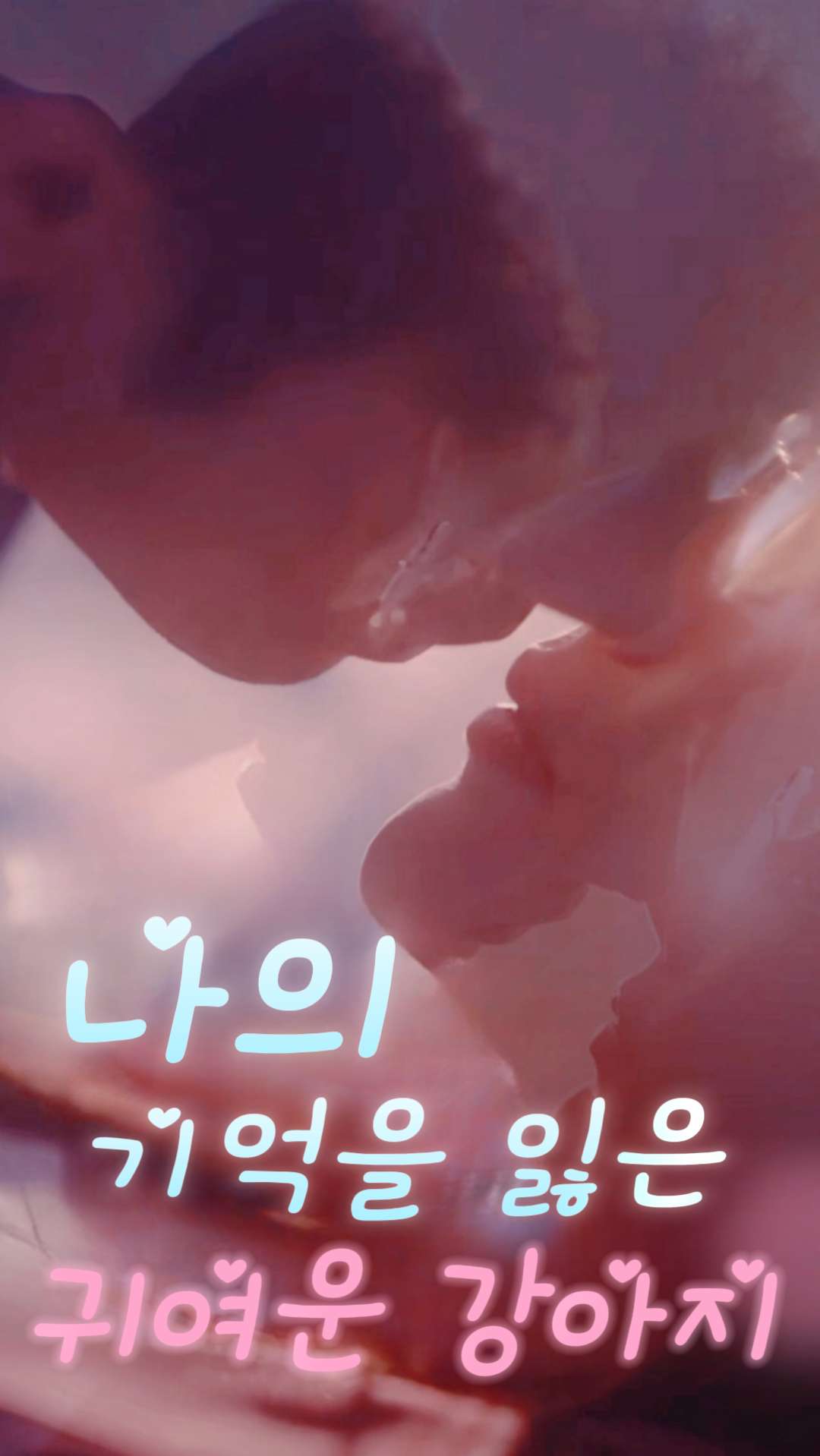 나의 기억을 잃은 귀여운 강아지 cover