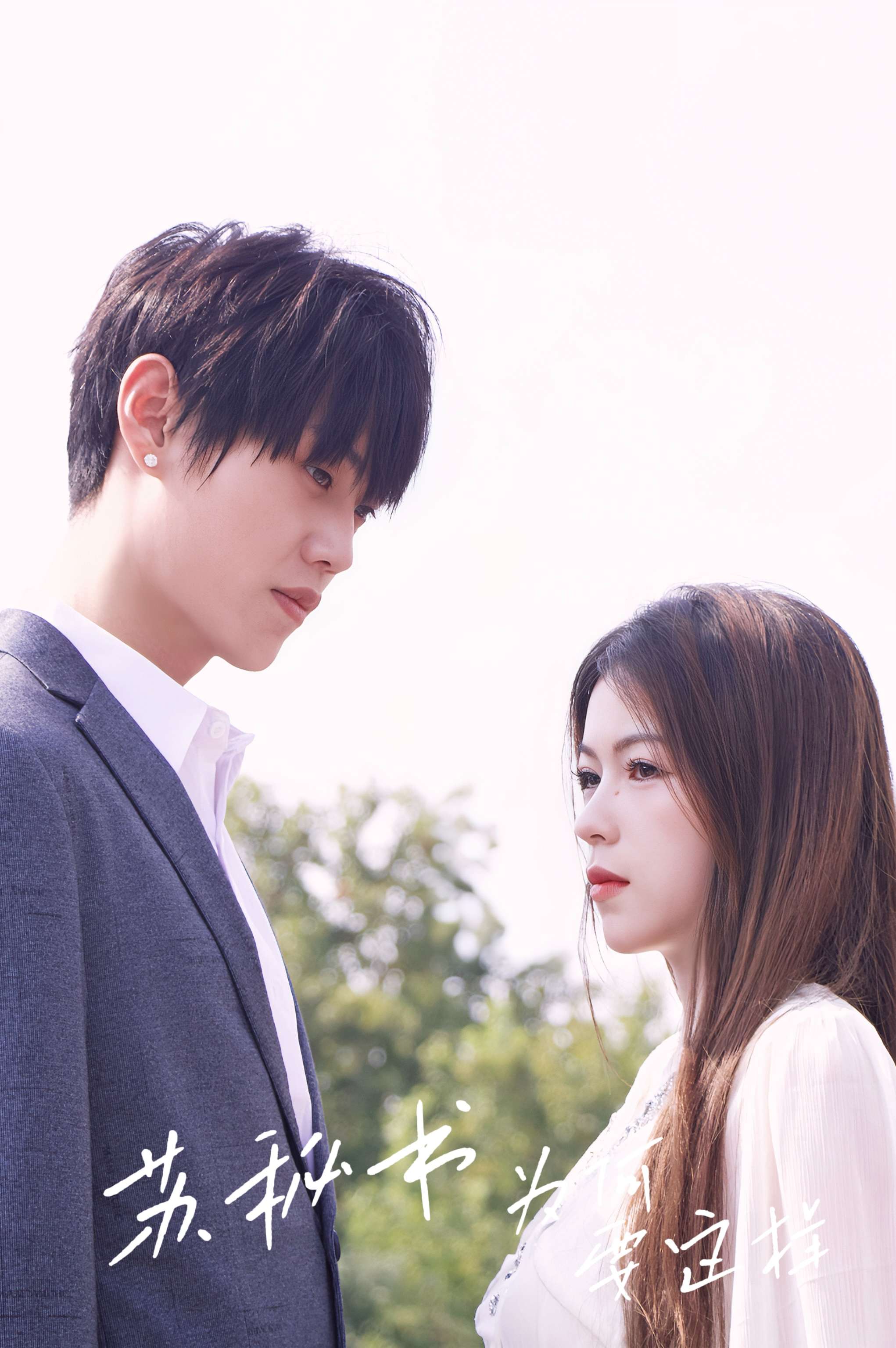 苏秘书，为何要这样